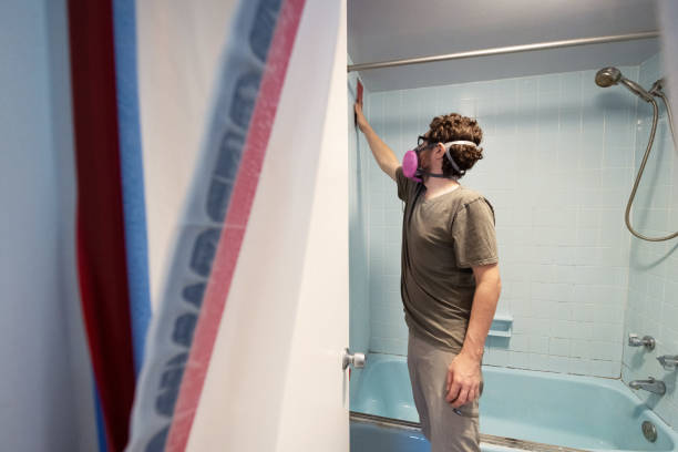 Best Mold Remediation for Healthcare Facilities  in Orem, UT